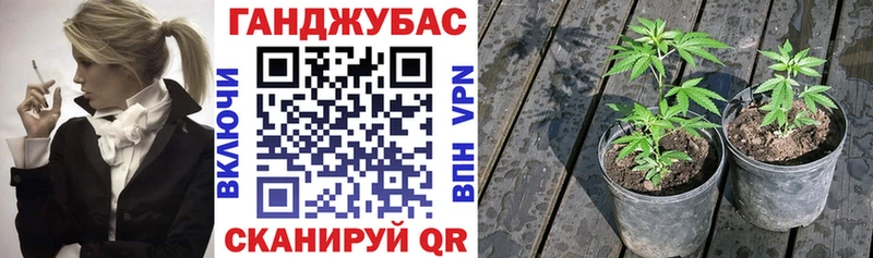 Наркота Тейково Марихуана  Cocaine  A-PVP  Псилоцибиновые грибы  ГАШИШ  Мефедрон 