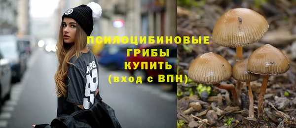 2c-b Армянск