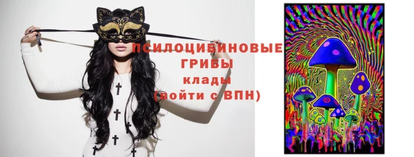 spice Аркадак
