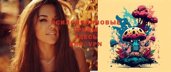 spice Аркадак